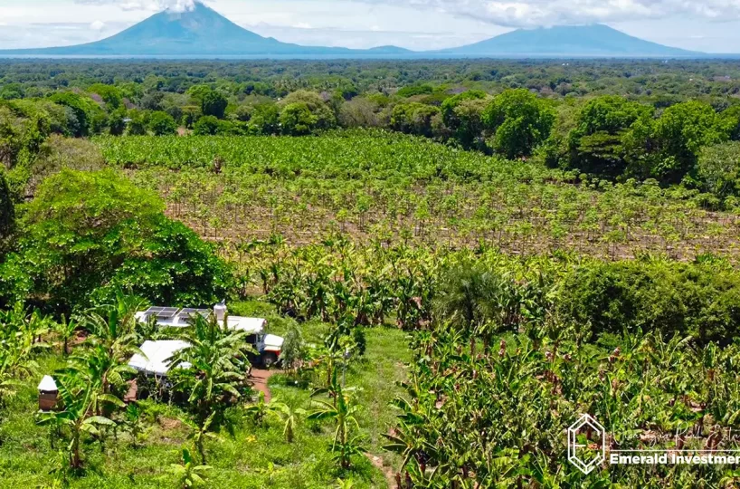 Nicaragua Working Farm with Lake Views for Business or Residency