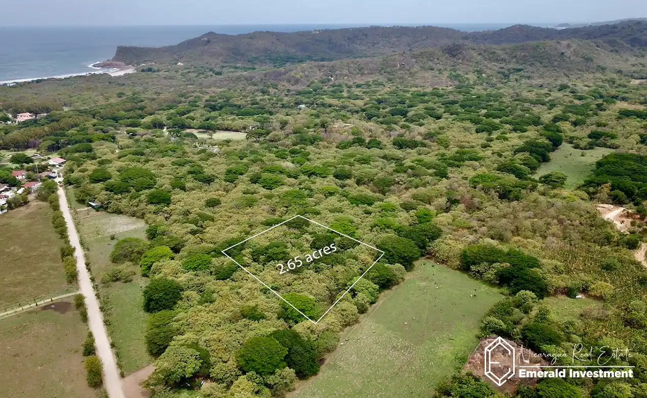2.65-Acre-Property-Near-Hacienda-Iguana-Woodland-Parcel