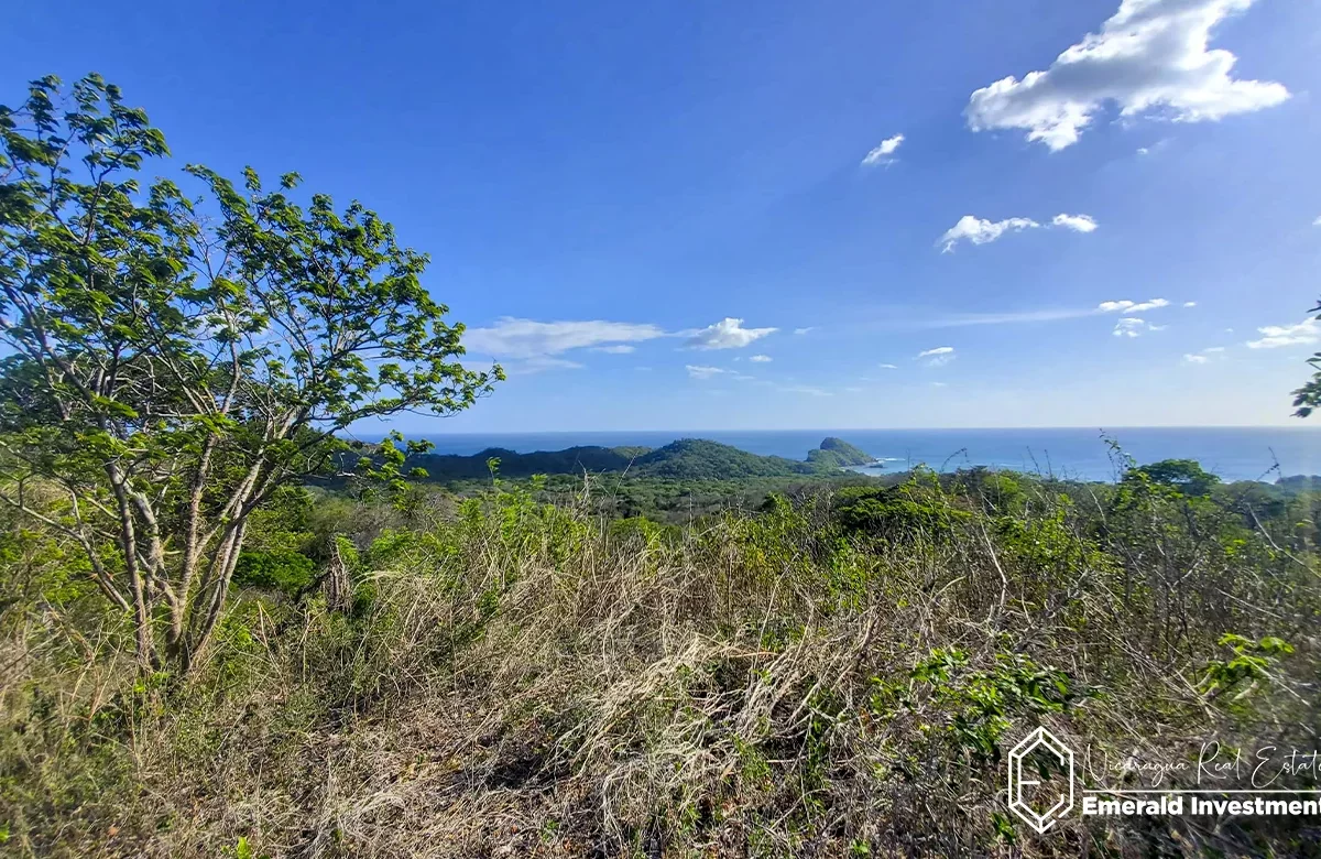 30 Acre Property With Ocean View in Playa Gigante