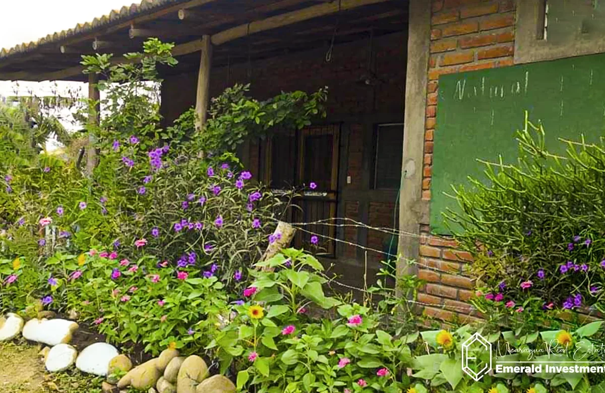 Commercial Property with House and Land in Playa Popoyo, Nicaragua