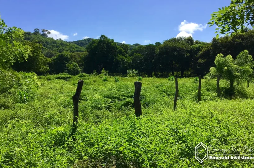 Surf Real Estate in Nicaragua