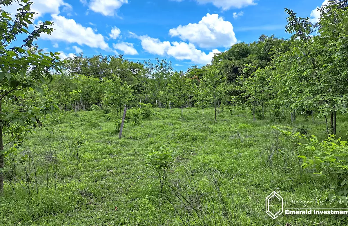 Farm Near Hacienda Iguana and Playa Gigante | Finca El Tambo