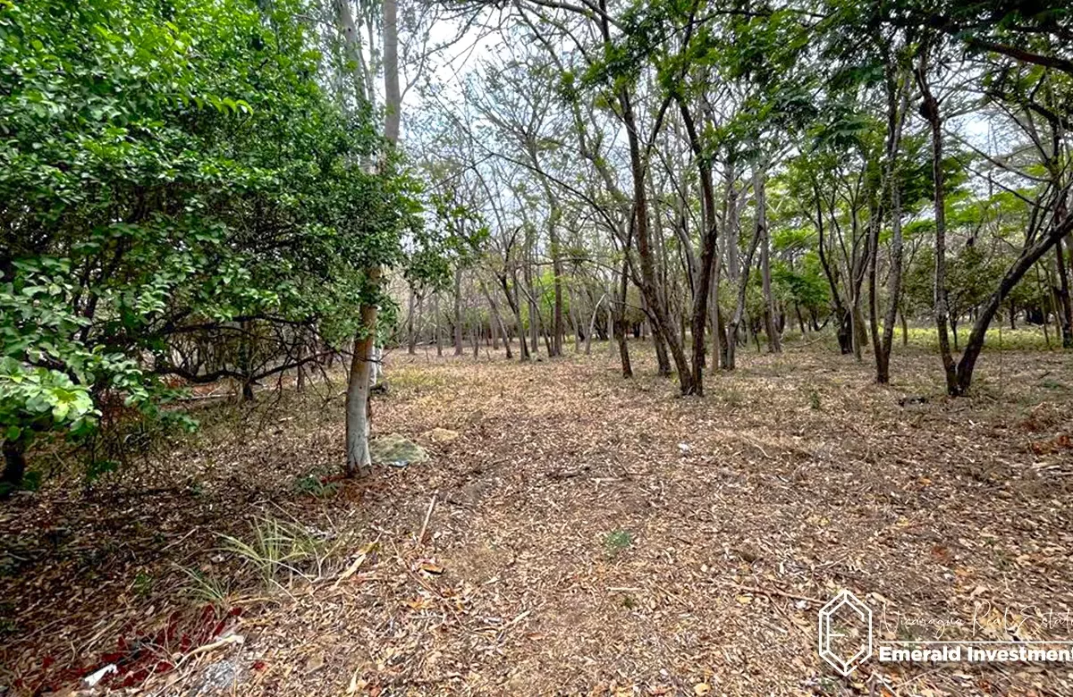 Lot In Hacienda Iguana Nicaragua | River Lot-P7