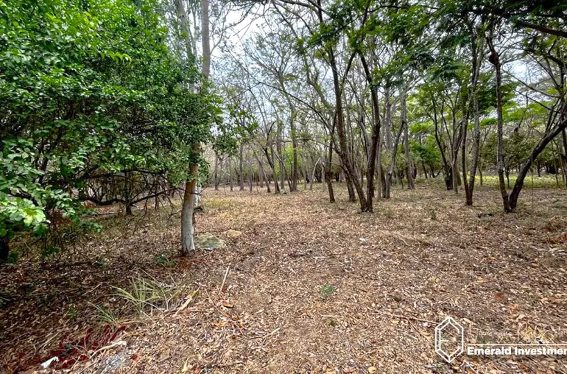 Lot In Hacienda Iguana Nicaragua | River Lot-P7