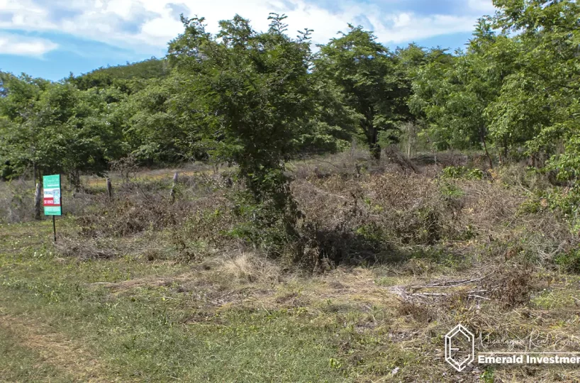 Lot in Playa Guasacate, Nicaragua | La Jolla Lot - 37