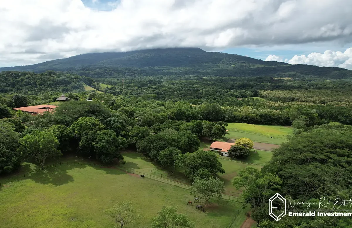 10mz Horse Farm in Nandaime, Granada