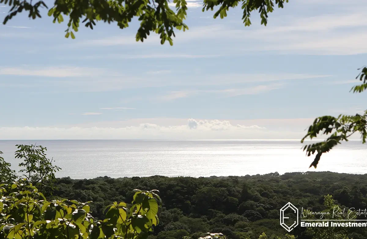 Oceanview-3.5-Acreage-Lot-in-El-Astillero-Tol