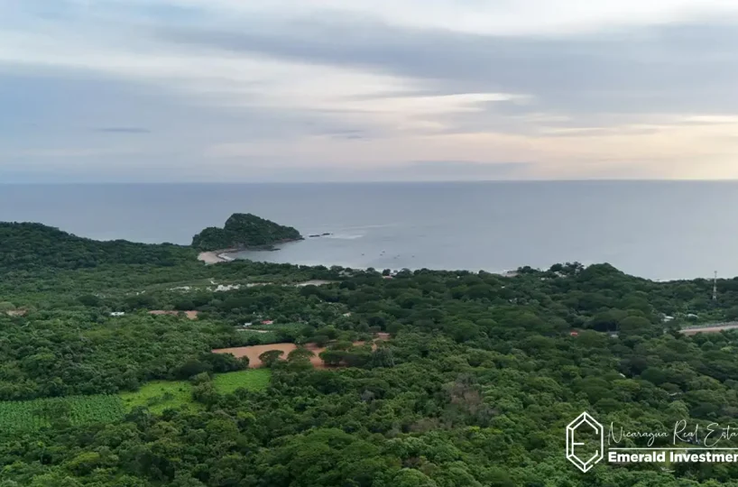 Half-Acre-Oceanview-Lot-for-Sale-in-Gigante