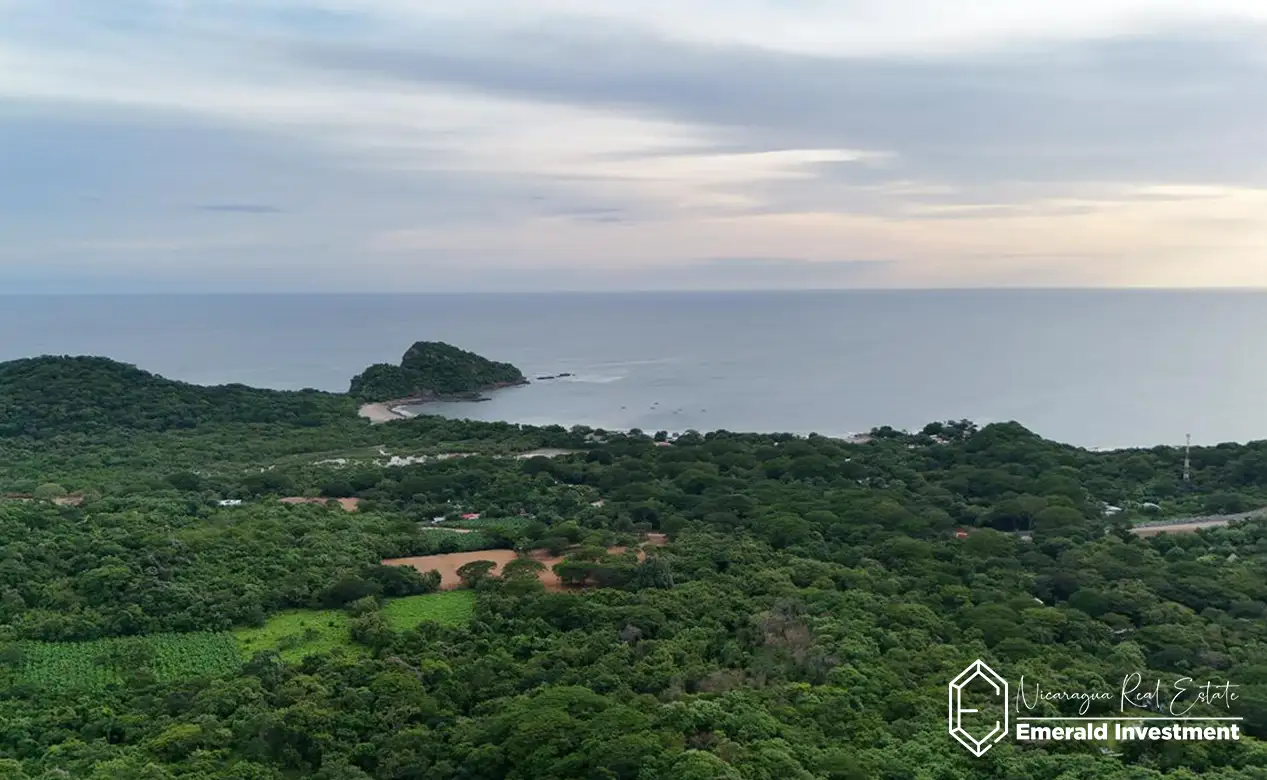 Half-Acre-Oceanview-Lot-for-Sale-in-Gigante