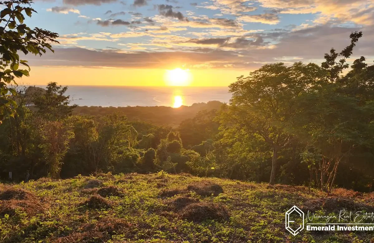 Half-Acre-Oceanview-Lot-for-Sale-in-Playa-Gigante