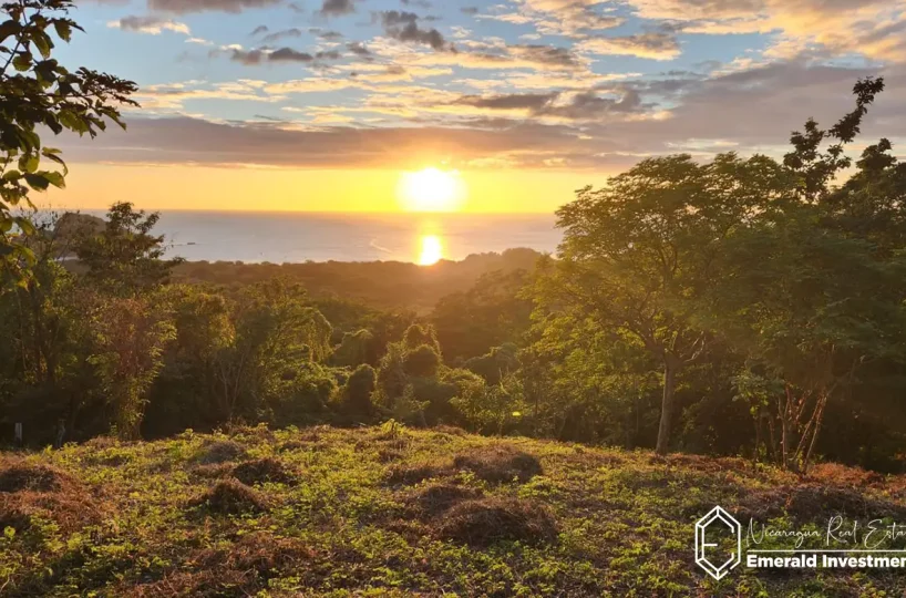 Half-Acre-Oceanview-Lot-for-Sale-in-Playa-Gigante