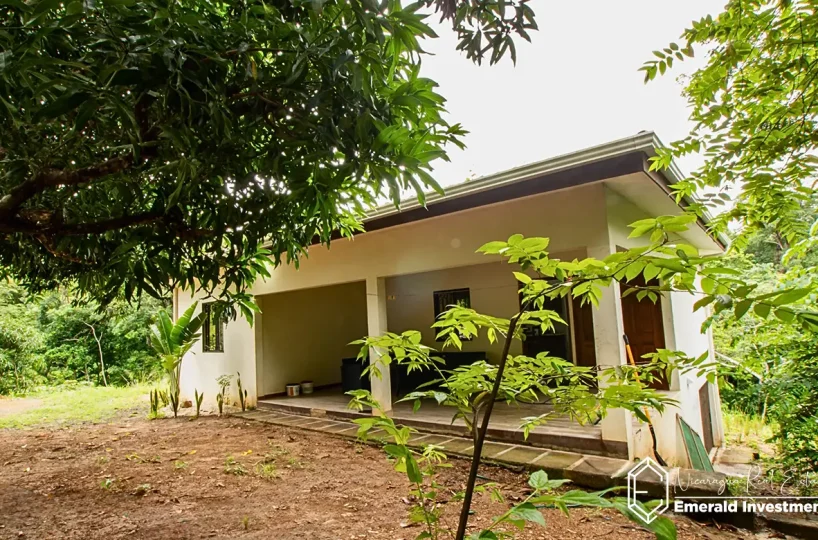 Modern-Jungle-Home-for-Sale-in-Cuesta-Bella-Casa-Mango