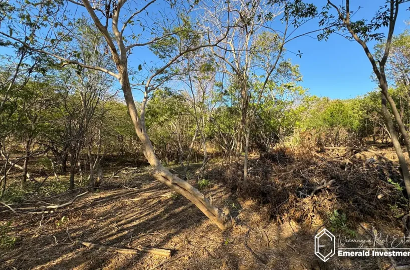 Development-Ready-Land-for-Sale-in-Popoyo