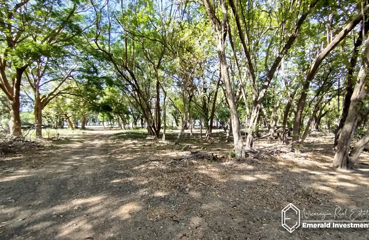 Golf-Course-Lot-for-Sale-in-Hacienda-Iguana-B17