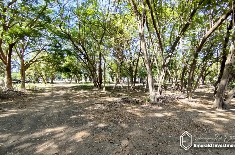 Golf-Course-Lot-for-Sale-in-Hacienda-Iguana-B17