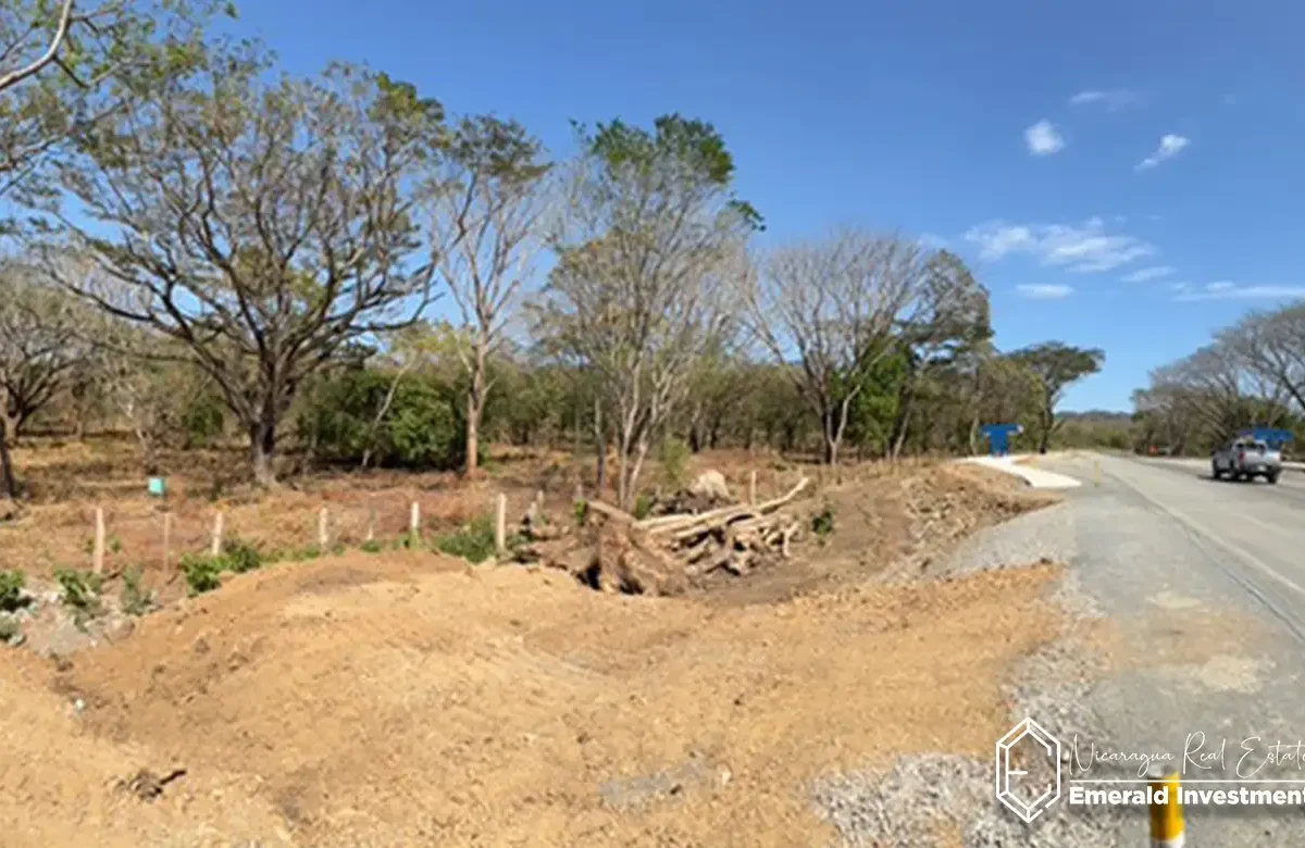 Playa Gigante 4-Acre Lot Near Surf Beaches - Rare Opportunity 5