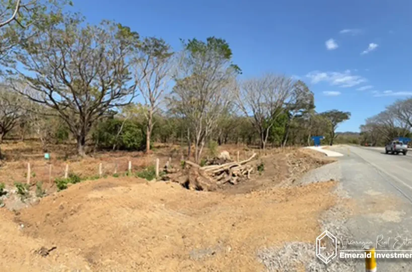 Playa Gigante 4-Acre Lot Near Surf Beaches - Rare Opportunity 5