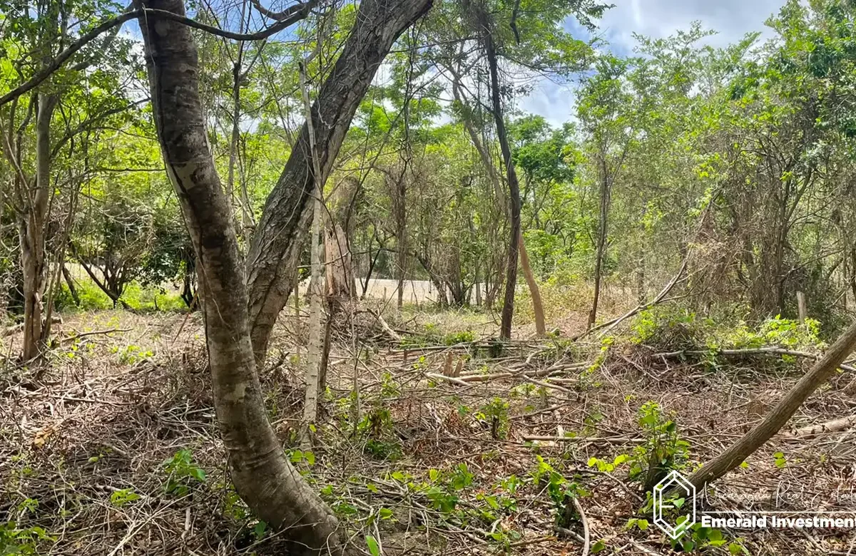 Gigante Lot - Build-Ready Land Near Playa Gigante 1