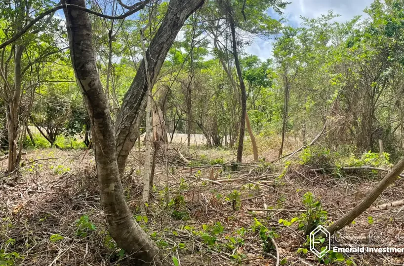 Gigante Lot - Build-Ready Land Near Playa Gigante 1