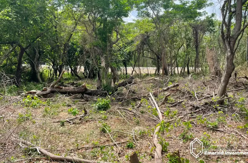 Gigante Lot - Build-Ready Land Near Playa Gigante 2