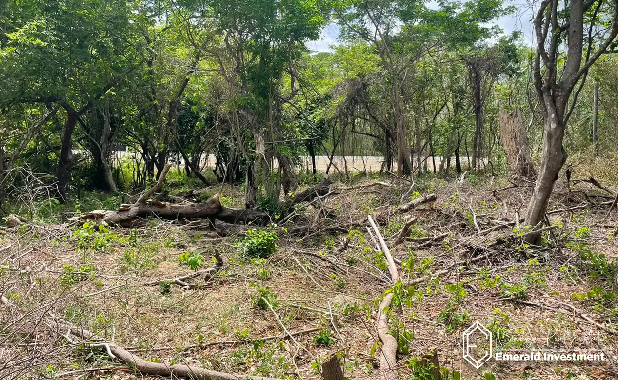 Gigante Lot - Build-Ready Land Near Playa Gigante 2