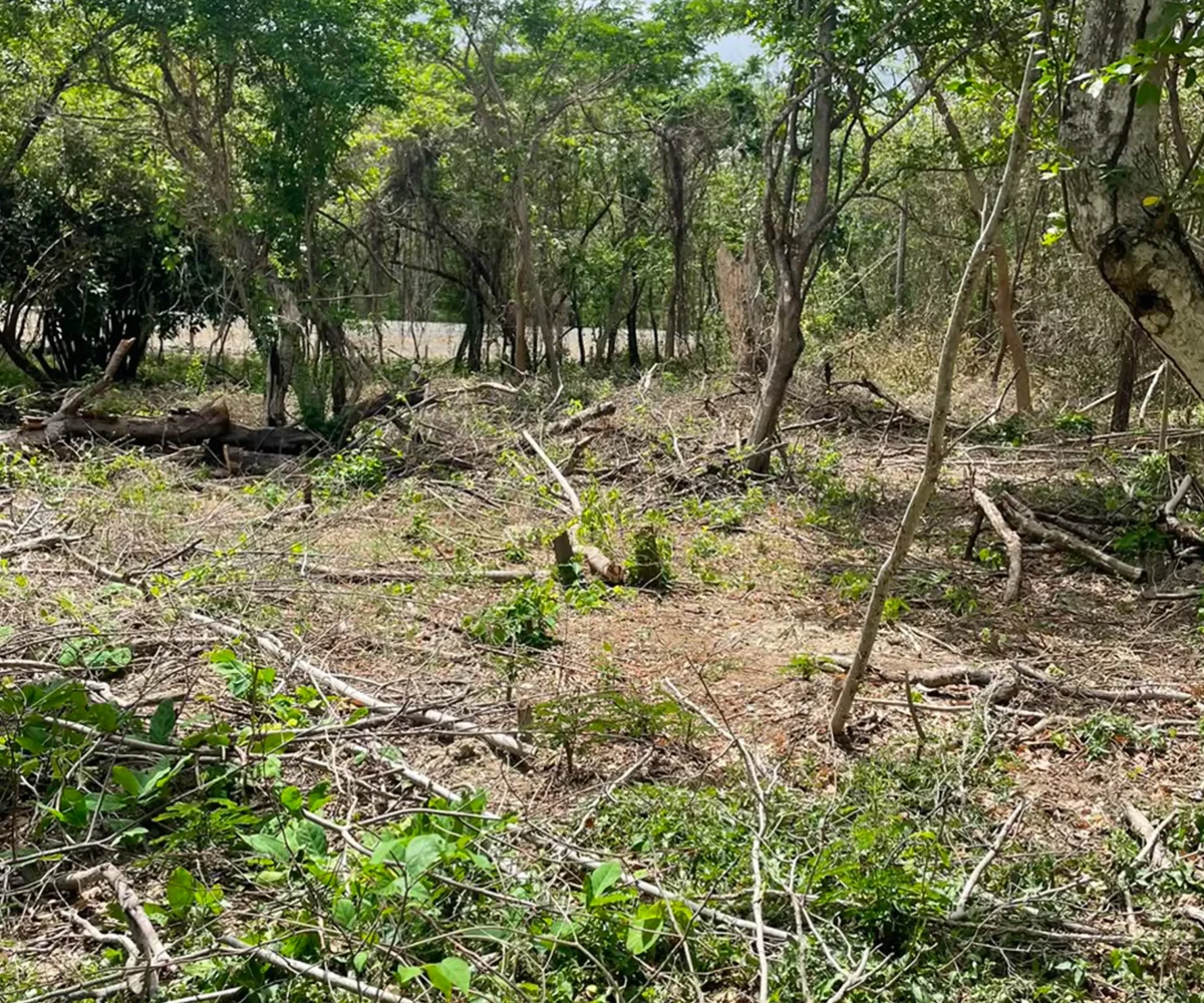 Gigante Lot - Build-Ready Land Near Playa Gigante 8