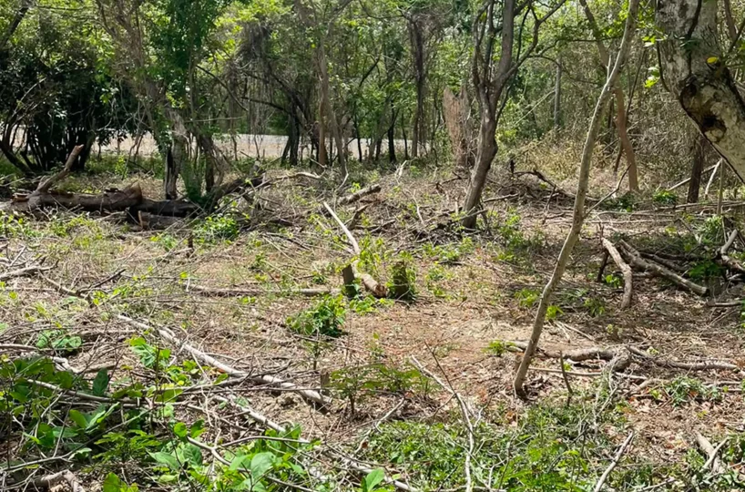 Gigante Lot - Build-Ready Land Near Playa Gigante 8