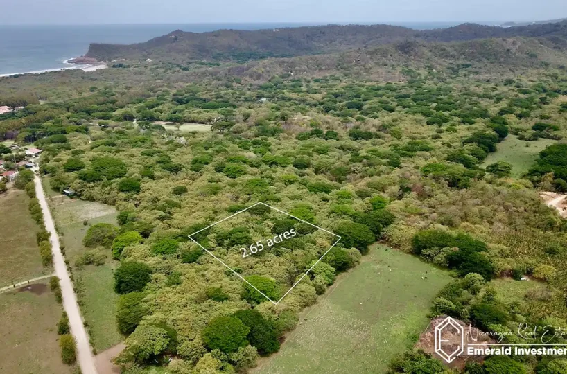 2.65-Acre-Property-Near-Hacienda-Iguana-Woodland-Parcel